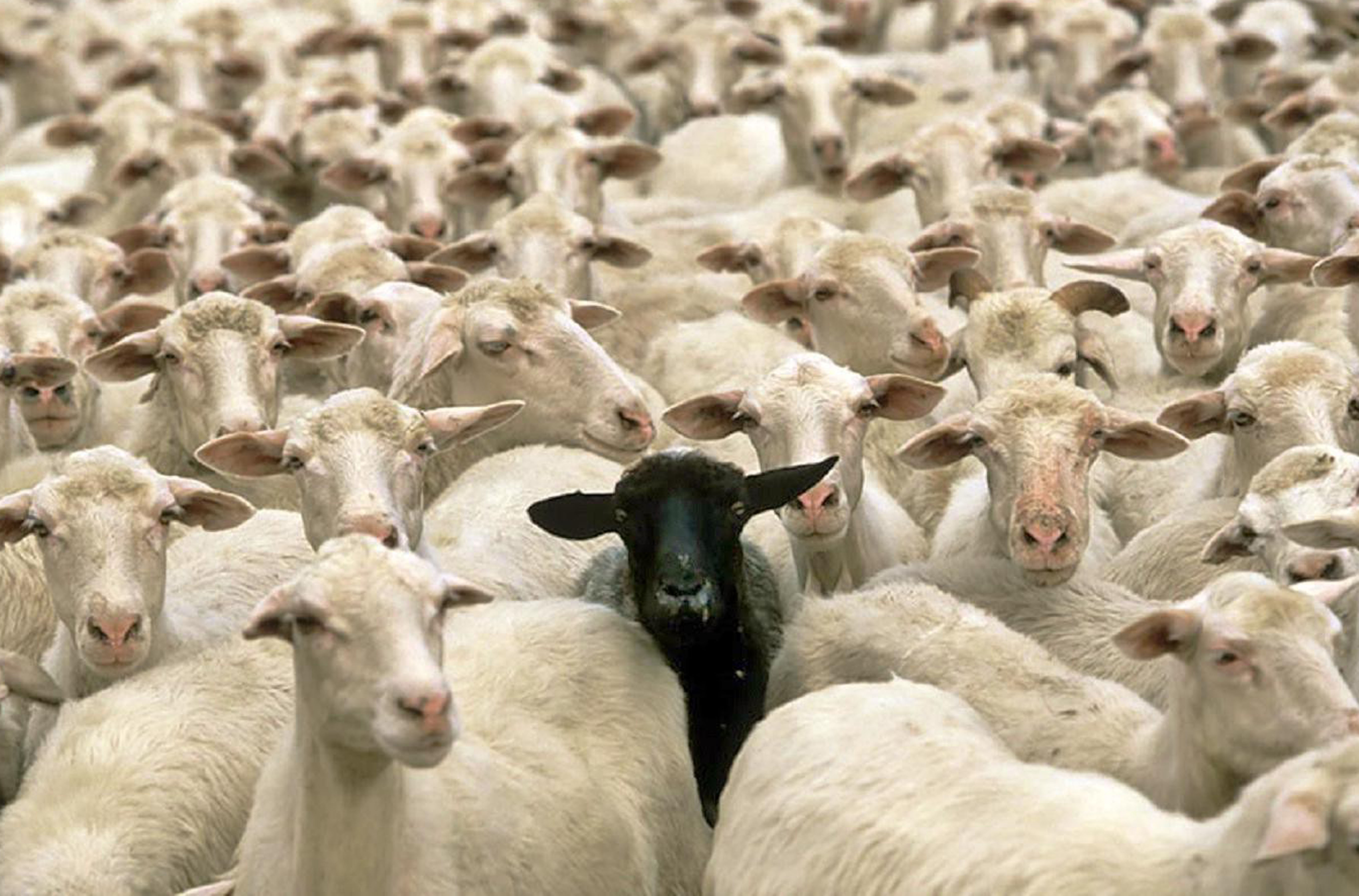 être accepter comme vous êtes être accepter comme vous êtes